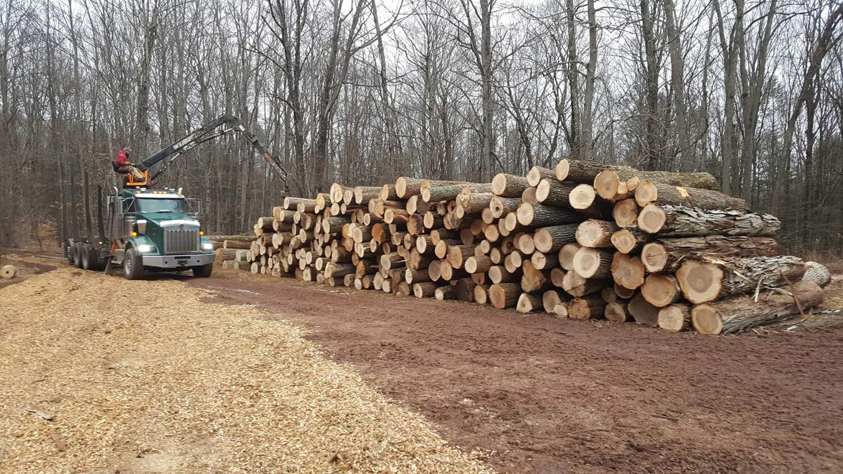 log pile with man on truck crane picking them up