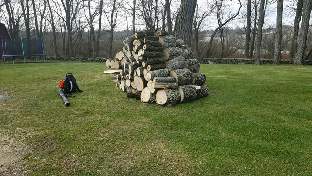small logs pilled up with a leaf blower next to it